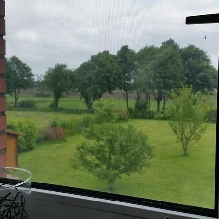 Wiesenblick *